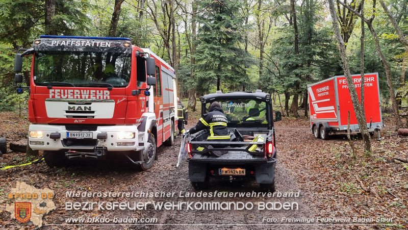 20241005_Abschnittsfeuerwehrbung in Pfaffsttten Waldgebiet Rund um die Rudolf Prokschhtte  Foto: Stefan Schneider FF Baden-Stadt