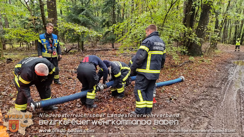 20241005_Abschnittsfeuerwehrbung in Pfaffsttten Waldgebiet Rund um die Rudolf Prokschhtte  Foto: Stefan Schneider FF Baden-Stadt