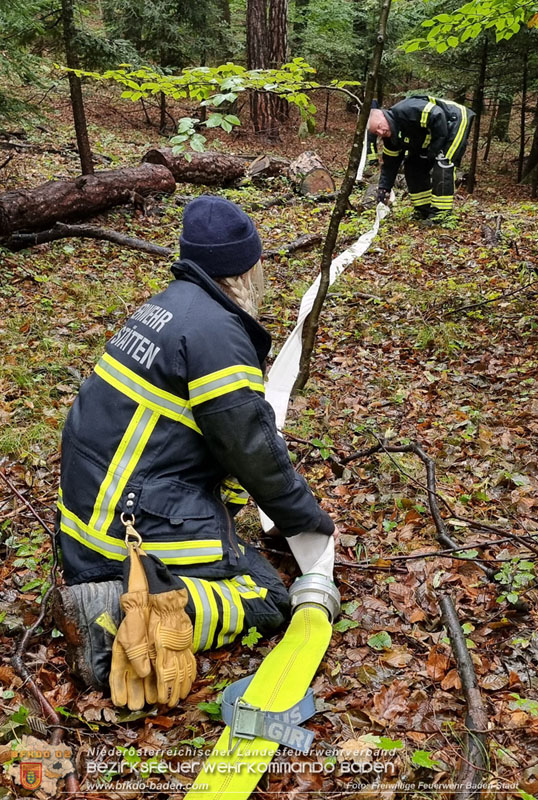 20241005_Abschnittsfeuerwehrbung in Pfaffsttten Waldgebiet Rund um die Rudolf Prokschhtte  Foto: Stefan Schneider FF Baden-Stadt