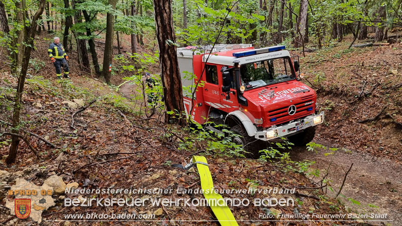 20241005_Abschnittsfeuerwehrbung in Pfaffsttten Waldgebiet Rund um die Rudolf Prokschhtte  Foto: Stefan Schneider FF Baden-Stadt