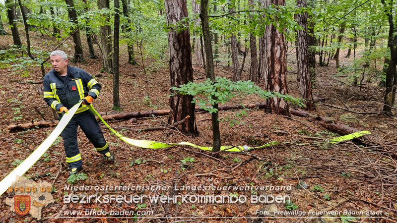 20241005_Abschnittsfeuerwehrbung in Pfaffsttten Waldgebiet Rund um die Rudolf Prokschhtte  Foto: Stefan Schneider FF Baden-Stadt