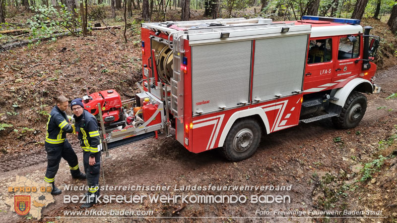 20241005_Abschnittsfeuerwehrbung in Pfaffsttten Waldgebiet Rund um die Rudolf Prokschhtte  Foto: Stefan Schneider FF Baden-Stadt