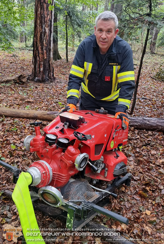 20241005_Abschnittsfeuerwehrbung in Pfaffsttten Waldgebiet Rund um die Rudolf Prokschhtte  Foto: Stefan Schneider FF Baden-Stadt