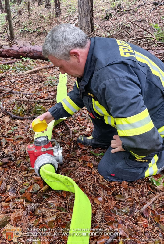 20241005_Abschnittsfeuerwehrbung in Pfaffsttten Waldgebiet Rund um die Rudolf Prokschhtte  Foto: Stefan Schneider FF Baden-Stadt