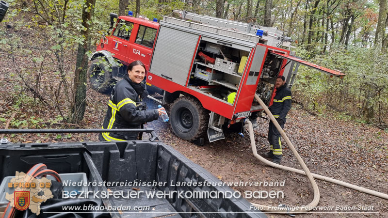 20241005_Abschnittsfeuerwehrbung in Pfaffsttten Waldgebiet Rund um die Rudolf Prokschhtte  Foto: Stefan Schneider FF Baden-Stadt