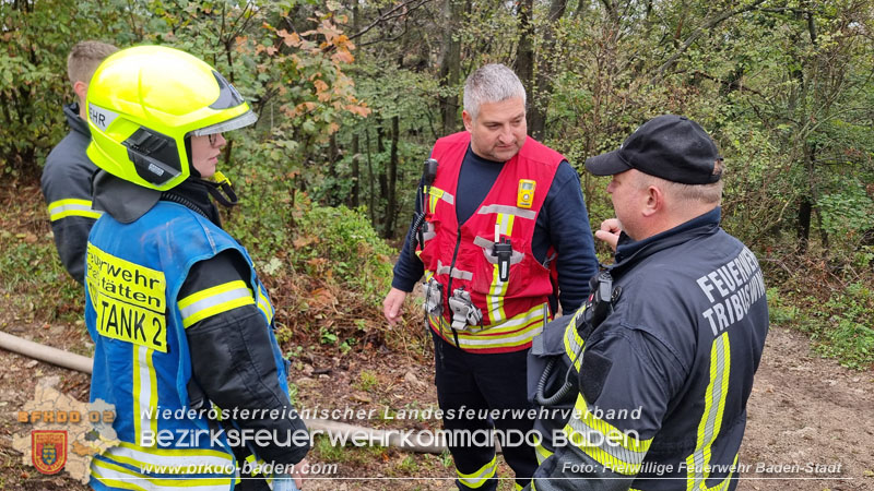 20241005_Abschnittsfeuerwehrbung in Pfaffsttten Waldgebiet Rund um die Rudolf Prokschhtte  Foto: Stefan Schneider FF Baden-Stadt