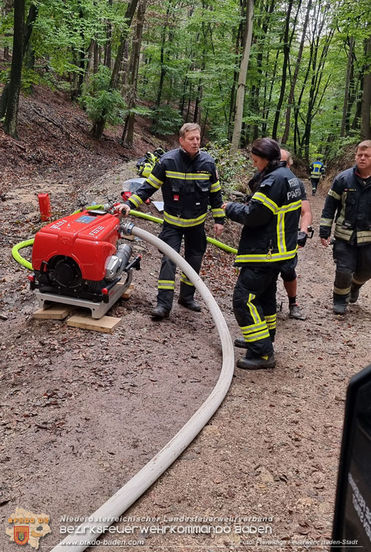 20241005_Abschnittsfeuerwehrbung in Pfaffsttten Waldgebiet Rund um die Rudolf Prokschhtte  Foto: Stefan Schneider FF Baden-Stadt