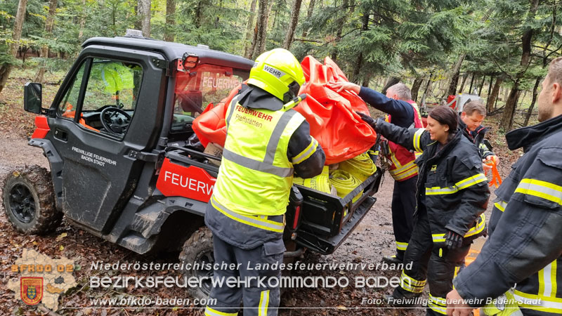 20241005_Abschnittsfeuerwehrbung in Pfaffsttten Waldgebiet Rund um die Rudolf Prokschhtte  Foto: Stefan Schneider FF Baden-Stadt