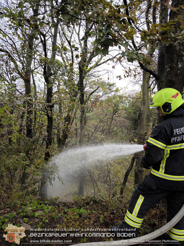 20241005_Abschnittsfeuerwehrbung in Pfaffsttten Waldgebiet Rund um die Rudolf Prokschhtte  Foto: Melanie Raimann FF Pfaffsttten