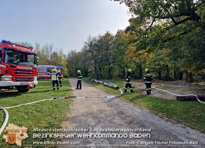 20241019_bung der Unterabschnitte 4 und 5 am Peilstein  Foto: Brigitte Fischer